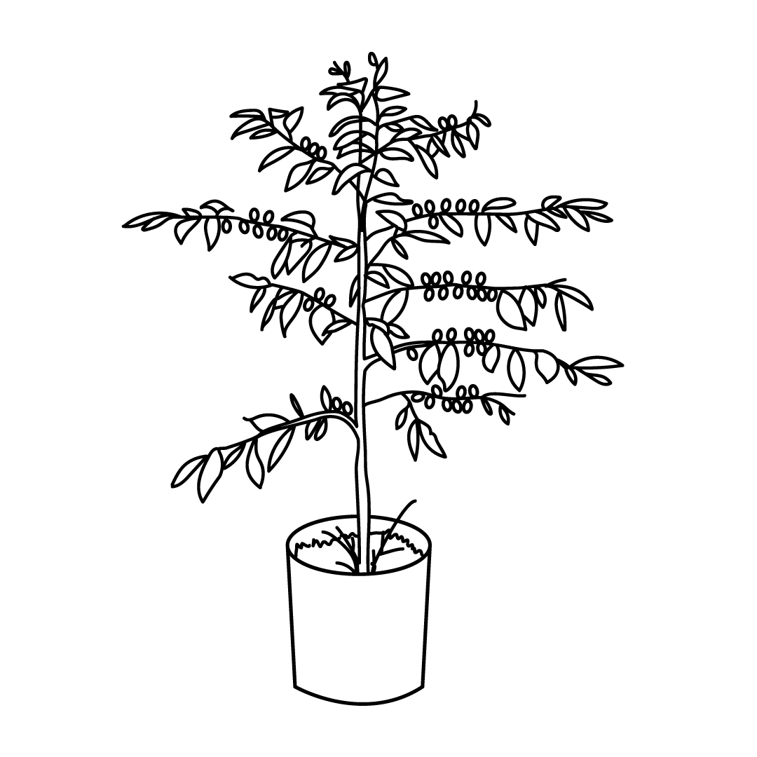 Ícono de sustentabilidad social